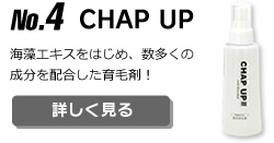 No.4 CHAP UP