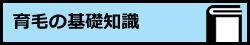 育毛の基礎知識