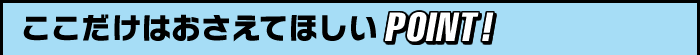 ここだけはおさえてほしいPOINT
